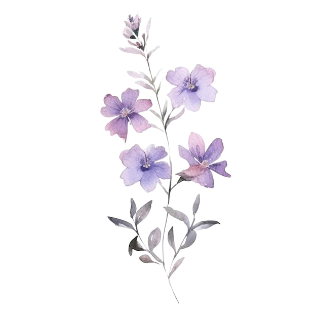 PSD ilustración de flores silvestres en acuarela, flores dibujadas a mano aisladas sobre un fondo blanco
