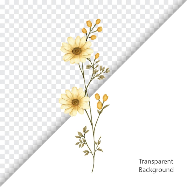 ilustración de fondo transparente de flores