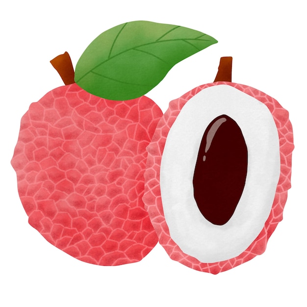 Ilustración de la fruta del lichi