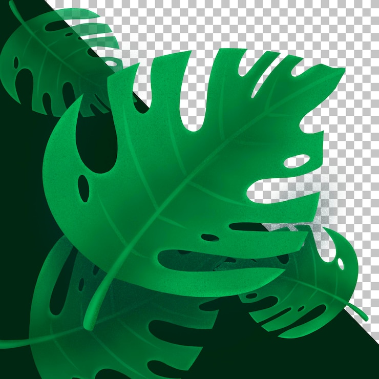 PSD ilustración de hojas de palma verde