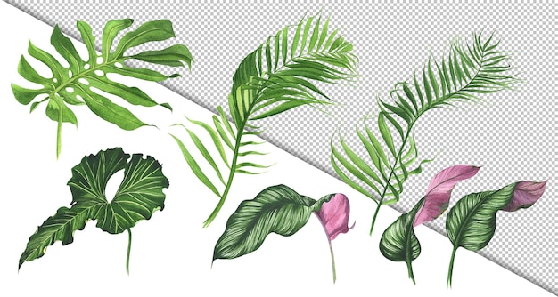 PSD ilustración de hojas y plantas tropicales de acuarela