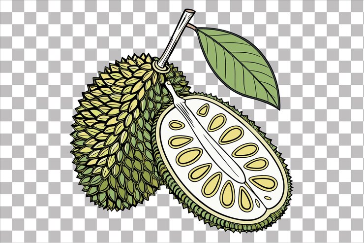 PSD ilustración de jackfruit dibujada a mano arte de frutas tropicales vintage para envasado y diseño