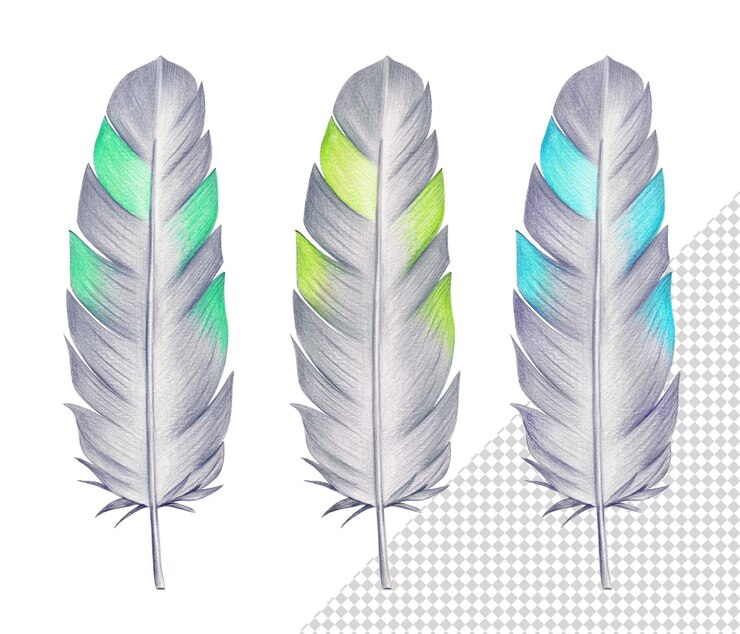 PSD ilustración a lápiz de tres plumas coloridas dibujadas a mano