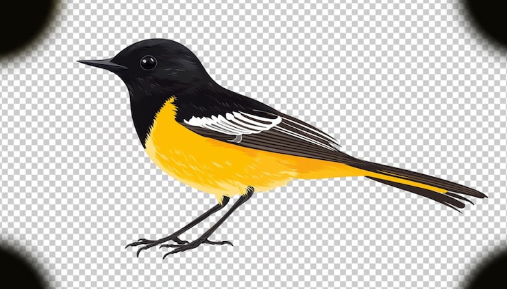 PSD ilustración de un lindo pájaro hermoso en un fondo transparente