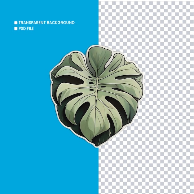 Ilustración de monstera con fondo transparente