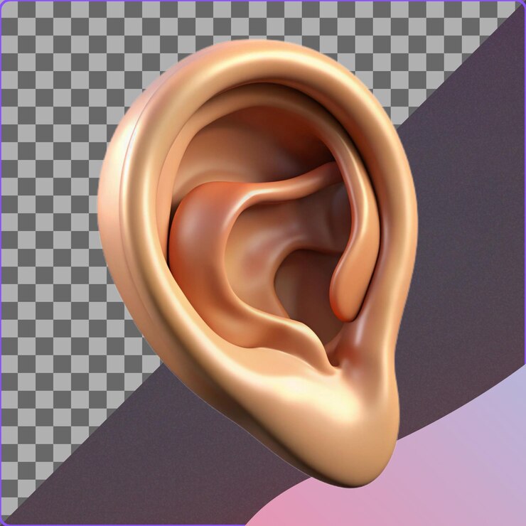 PSD ilustración del oído humano en 3d