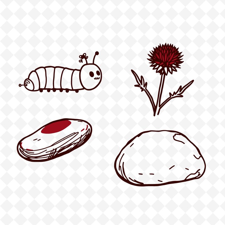 PSD ilustración oruga semilla de cardo pod piedra del río una oruga suave coloración creativa naturaleza setl
