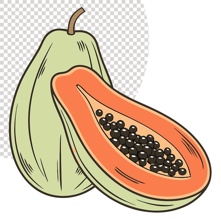 PSD ilustración de papaya fresca png ideal para proyectos tropicales y de bienestar