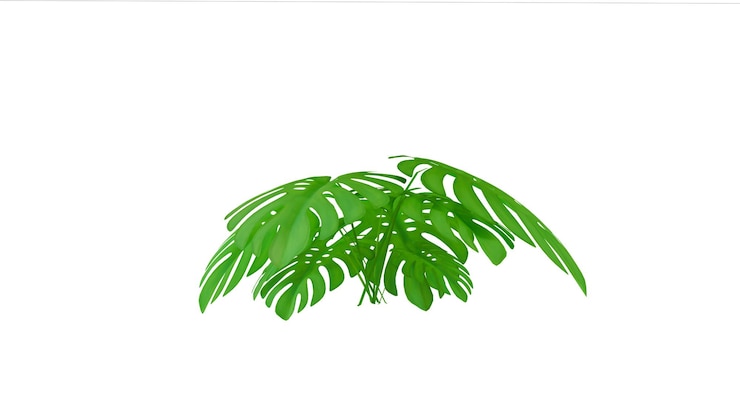 PSD ilustración de una planta de hojas verdes sobre un fondo transparente