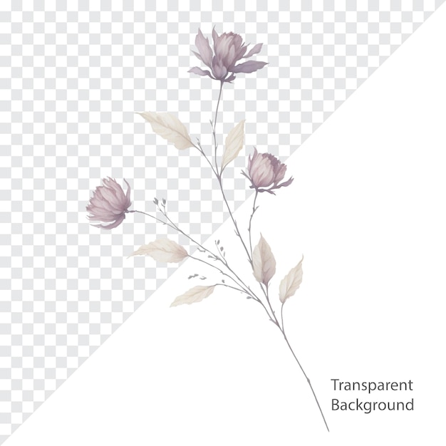 ilustración de png acuarela flor fondo transparente