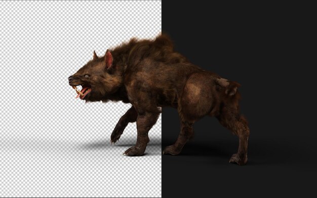 PSD ilustración de una pose de lobo diablo en fondo negro con camino de recorte es poderoso