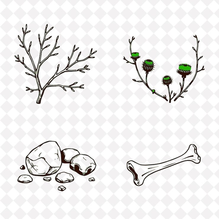 PSD ilustración ramas de roble cardo rocas huesos de animales ramas robustas de roble que se extienden con puntas