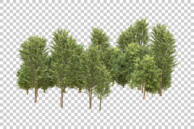 Ilustración de renderización 3D de un bosque realista aislado en un fondo transparente