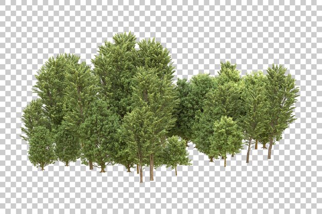 Ilustración de renderización 3D de un bosque realista aislado en un fondo transparente