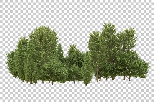 Ilustración de renderización 3D de un bosque realista aislado en un fondo transparente