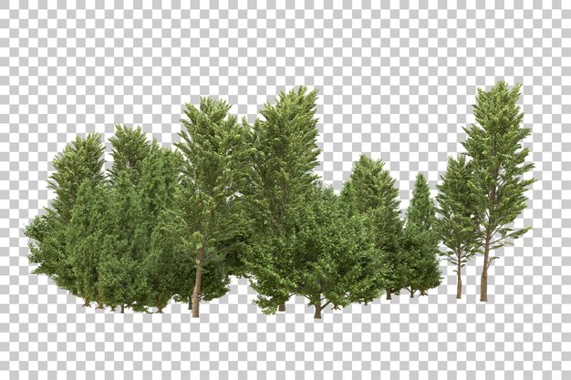 Ilustración de renderización 3D de un bosque realista aislado en un fondo transparente