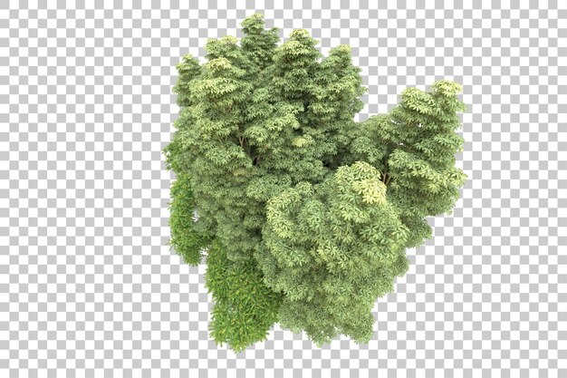Ilustración de renderización 3D de un bosque realista aislado en un fondo transparente