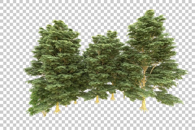 Ilustración de renderización 3D de un bosque realista aislado en un fondo transparente