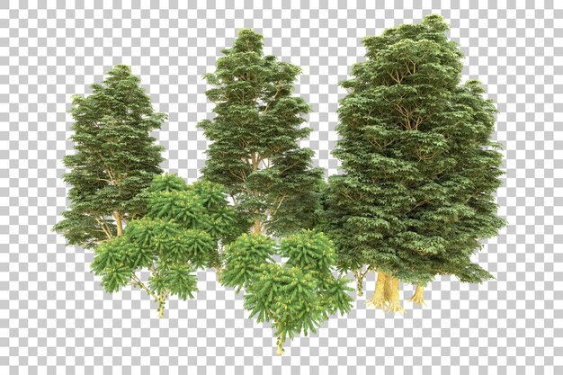 Ilustración de renderización 3D de un bosque realista aislado en un fondo transparente
