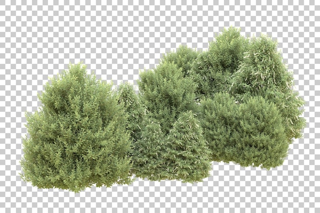Ilustración de renderización 3D de un bosque realista aislado en un fondo transparente