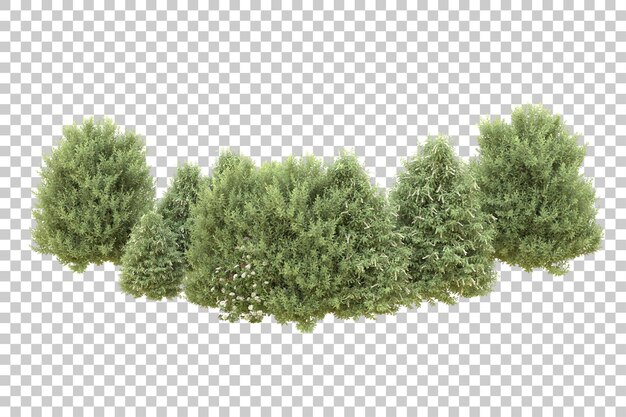Ilustración de renderización 3D de un bosque realista aislado en un fondo transparente