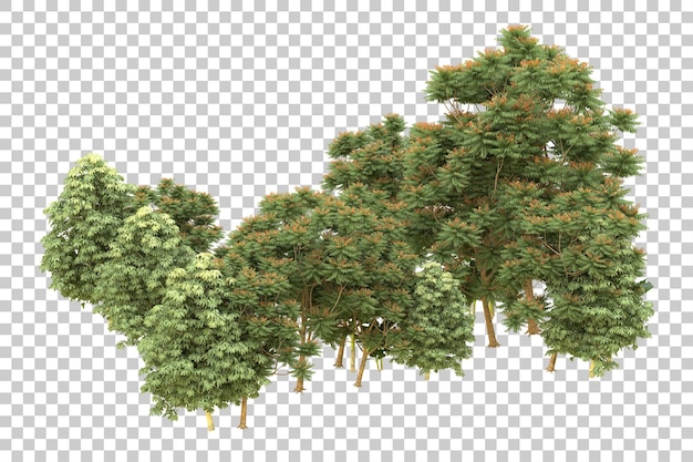Ilustración de renderización 3D de un bosque realista aislado en un fondo transparente