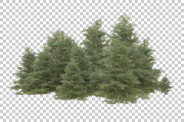 Ilustración de renderización 3D de un bosque realista aislado en un fondo transparente