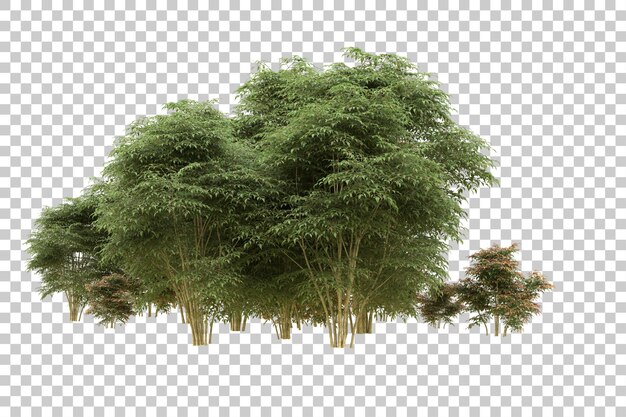 Ilustración de renderización 3D de un bosque realista aislado en un fondo transparente