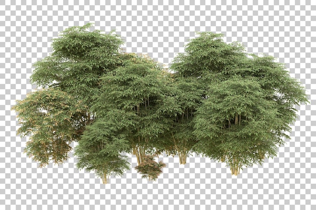 Ilustración de renderización 3D de un bosque realista aislado en un fondo transparente