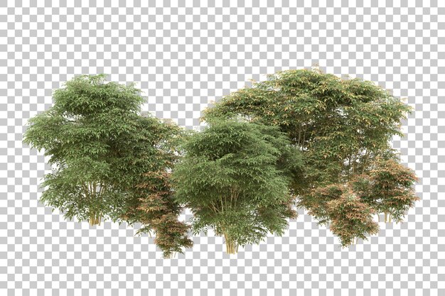 Ilustración de renderización 3D de un bosque realista aislado en un fondo transparente