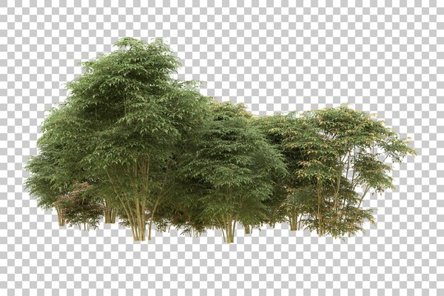 Ilustración de renderización 3D de un bosque realista aislado en un fondo transparente