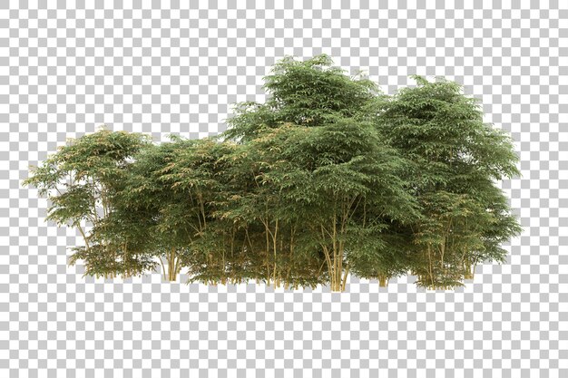 Ilustración de renderización 3D de un bosque realista aislado en un fondo transparente