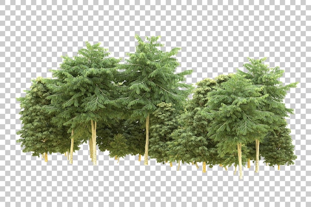 Ilustración de renderización 3D de un bosque realista aislado en un fondo transparente