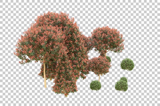 Ilustración de renderización 3D de un bosque realista aislado sobre un fondo transparente