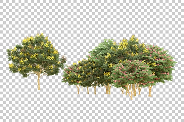 Ilustración de renderización 3D de un bosque realista aislado sobre un fondo transparente