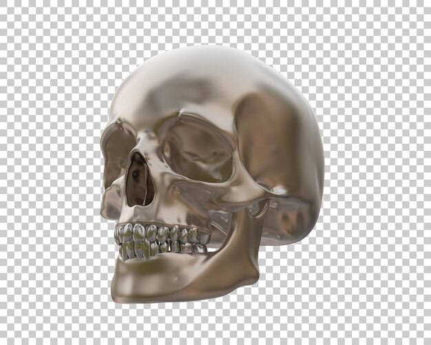 Ilustración de renderización 3D del cráneo aislado en el fondo