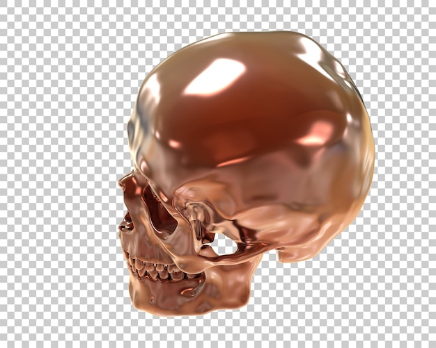 Ilustración de renderización 3D del cráneo aislado en el fondo