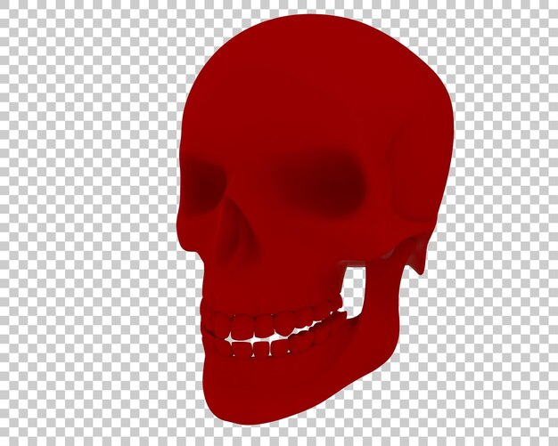 Ilustración de renderización 3D del cráneo aislado en el fondo