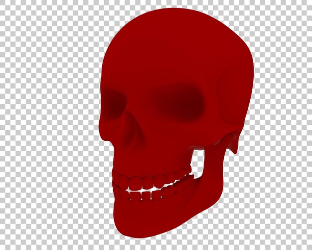 PSD ilustración de renderización 3d del cráneo aislado en el fondo