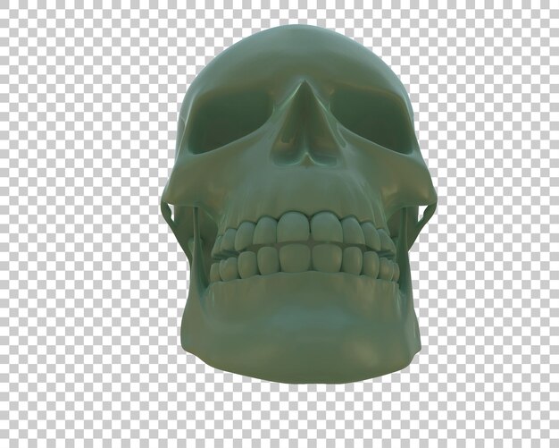 Ilustración de renderización 3D del cráneo aislado en el fondo