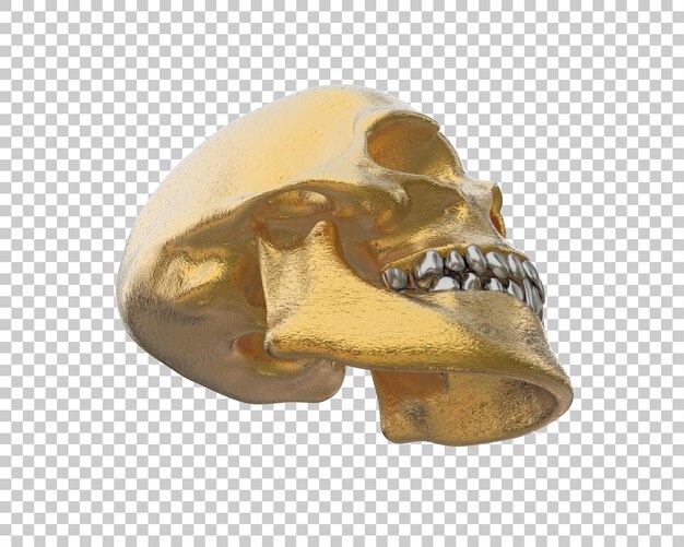 PSD ilustración de renderización 3d del cráneo aislado en el fondo