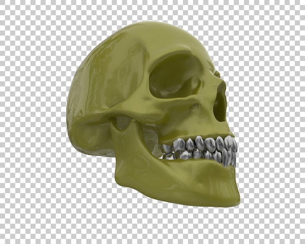 Ilustración de renderización 3D del cráneo aislado en el fondo