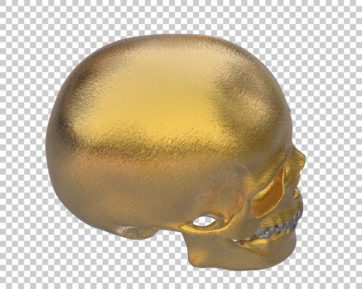 PSD ilustración de renderización 3d del cráneo aislado en el fondo