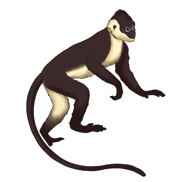 PSD ilustración de simios langur