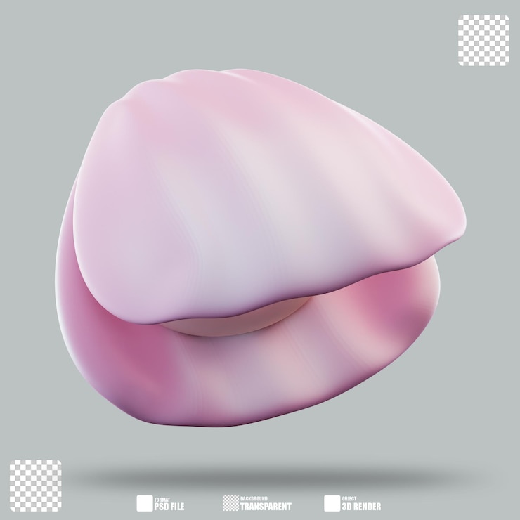 PSD ilustración tridimensional de conchas marinas 3