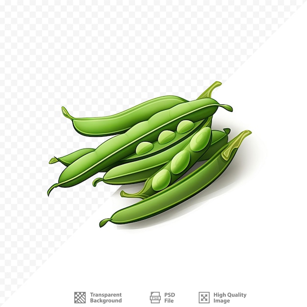 PSD una ilustración vectorial de guisantes verdes sobre un fondo transparente.