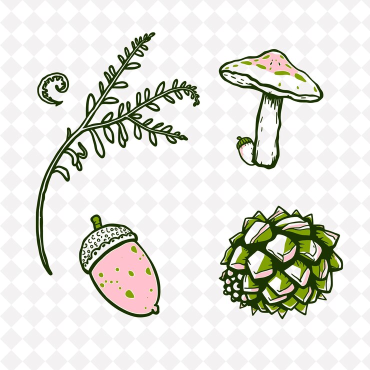 PSD ilustraciónferns setas bellotas piñones finamente texturizadas hojas de helecho desplegando setas con