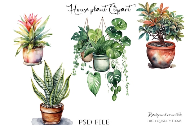 PSD ilustrações em aquarela de plantas caseiras