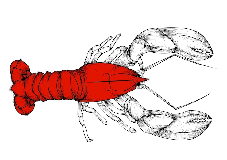 PSD ilustrador vetorial de arte de linha lagosta