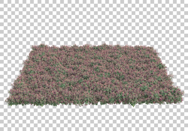 Ilustrasi render 3D lapangan rumput dengan latar belakang transparan